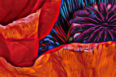 Print of Abstract Expressionism Botanic Photography by David Lothian