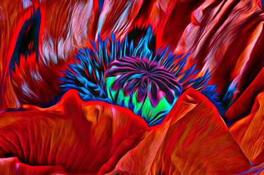 Print of Abstract Expressionism Botanic Photography by David Lothian