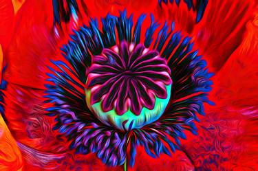 Original Abstract Expressionism Floral Photography by David Lothian