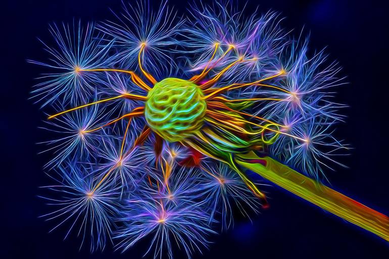 View in a Room Artwork