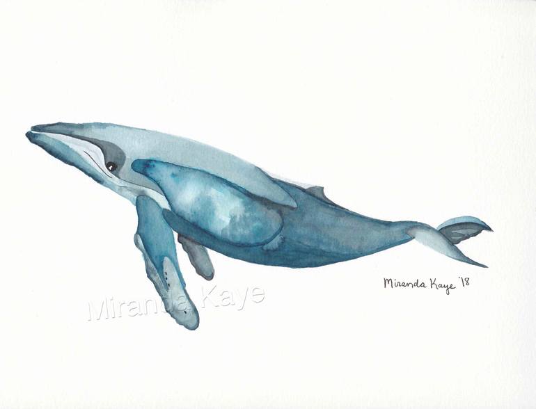 humpback whale art