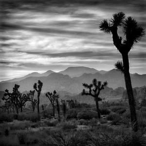 Sacred Ground - Three
