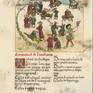 Collection #01 Codex : Gaudeamus igitur project 