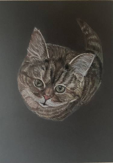Print of Figurative Cats Paintings by Tatiana Vakhrusheva