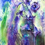 Bell flowers bloom by Nadezhda Bogomolova