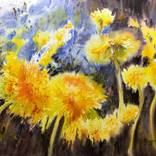 Yellow dandelions by Nadezhda Bogomolova