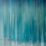 In Rainbows by Robin Ward