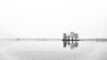 Char Chinar from Dal lake thumb