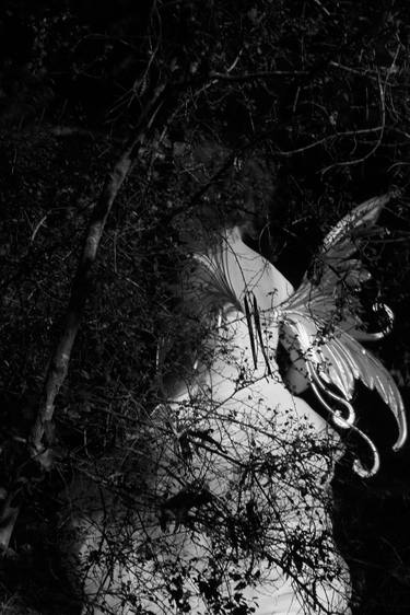 Original Expressionism Fantasy Photography by Mara Zaslove