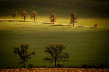 The last autumn rays of the sun in the landscape thumb