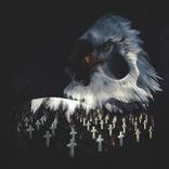 Eagle of Independence - Limited Edition of 10 by Camo Capablanco