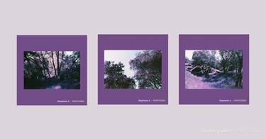 Nature In Purple - Limited Edition 1 of 1 thumb