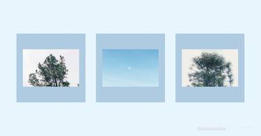 Print of Minimalism Nature Photography by Stephanie Arguelles