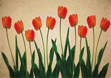 Tulips - Limited Edition 1 of 10 thumb