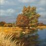 Collection Landscape Oil Painting on Canvas