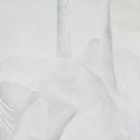 Swan Dance by Kay Sleking