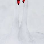Two Swans by Kay Sleking