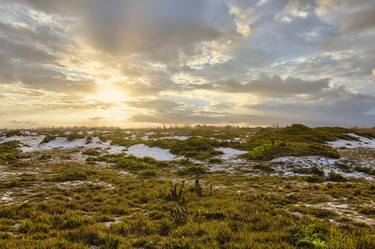 Print of Fine Art Landscape Photography by Júlio Riccó