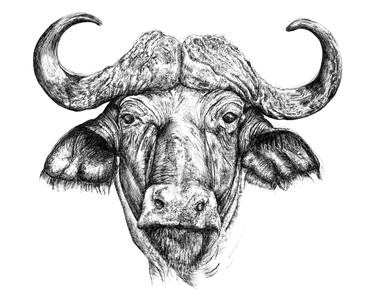 Print of Figurative Cows Drawings by Glenn Wyatt