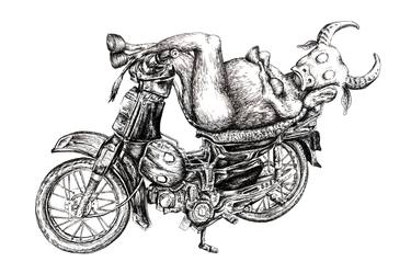 Buffalo on a Motorcycle 2 thumb