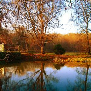 Collection Water & Reflections