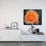 "Orange rose" - handmade oil painting on stretched canvas
Size: 60 x 70 cm
Material: Oil paint, multiple layers of colors.
Permanent protective coating: varnish
This is an original painting, signed on the front
No framed
This artwork will be delivered with an invoice and a signed certificate of authenticity.
Shipping carefully packed, insured and tracked