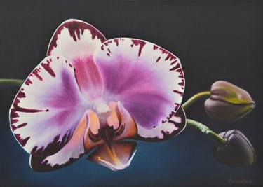 Print of Realism Floral Paintings by Iryna Buivolova