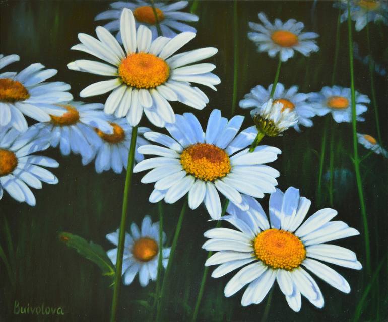 three chamomiles Painting by Irina Buivolova | Saatchi Art