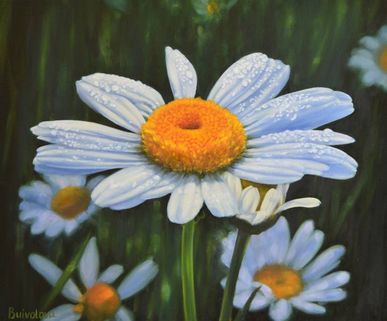 Chamomile dew Painting by Irina Buivolova | Saatchi Art