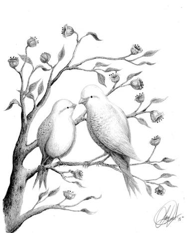 Featured image of post Cute Love Birds Sketch / All of these love bird resources are for free download on pngtree.