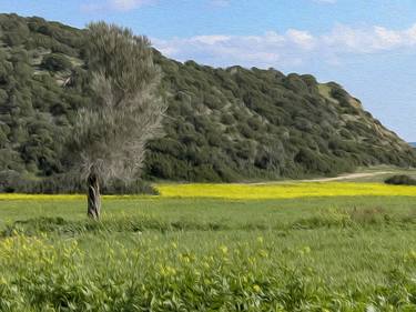 Cyprus: Chamomile Field thumb