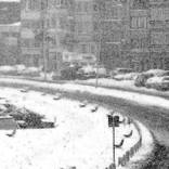 Collection Snowing