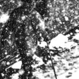 Collection Snowing