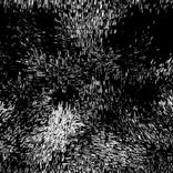 Collection Vortices