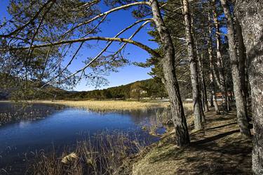 Bolu: Lake in The Winter Sun thumb