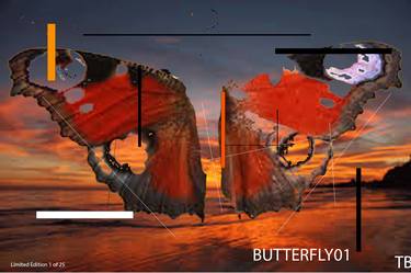 ButterflyOrange - Limited Edition of 10 thumb