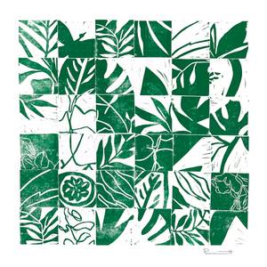 Collection Into the Wild