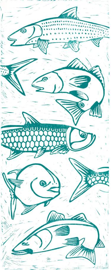 Original Illustration Fish Printmaking by Valerie Perreault