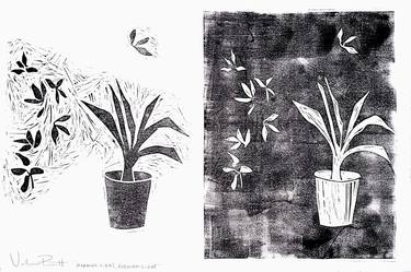 Original Modern Botanic Printmaking by Valerie Perreault