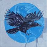 A Crows Wings by Rapheal Crump