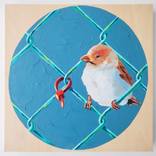 Collection Subject Spotlight: Birds