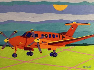 Print of Airplane Paintings by Sue Graef