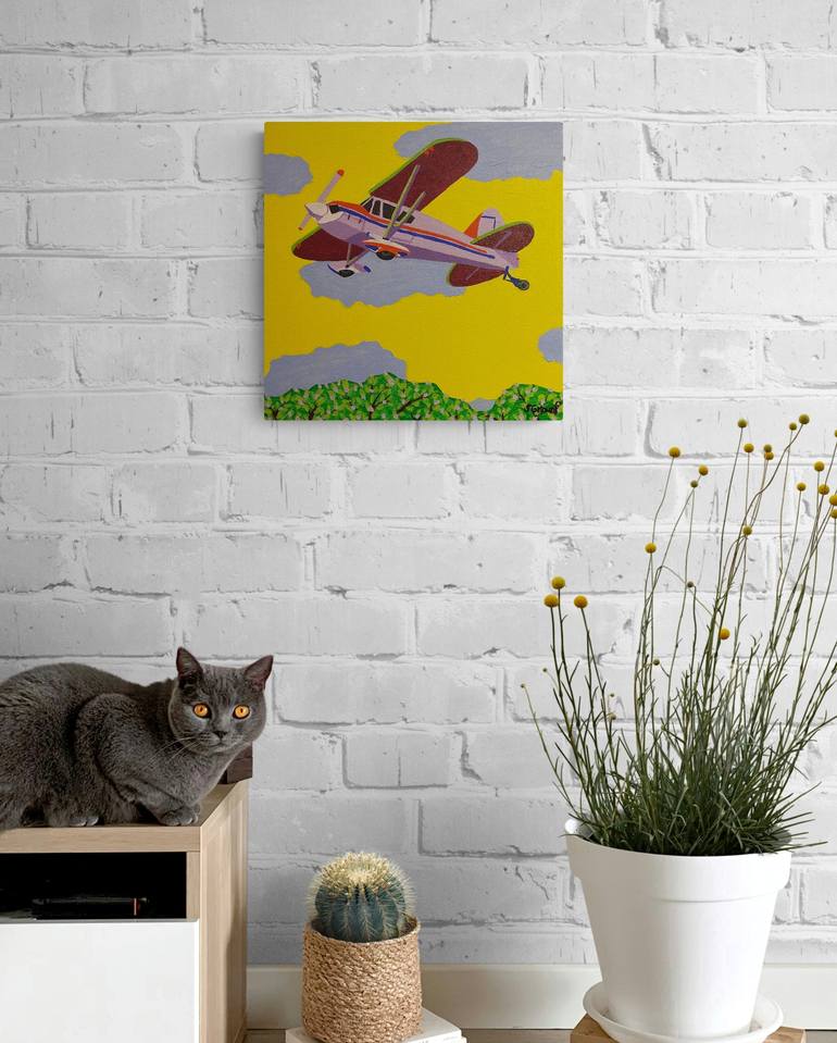 Original Aeroplane Painting by Sue Graef