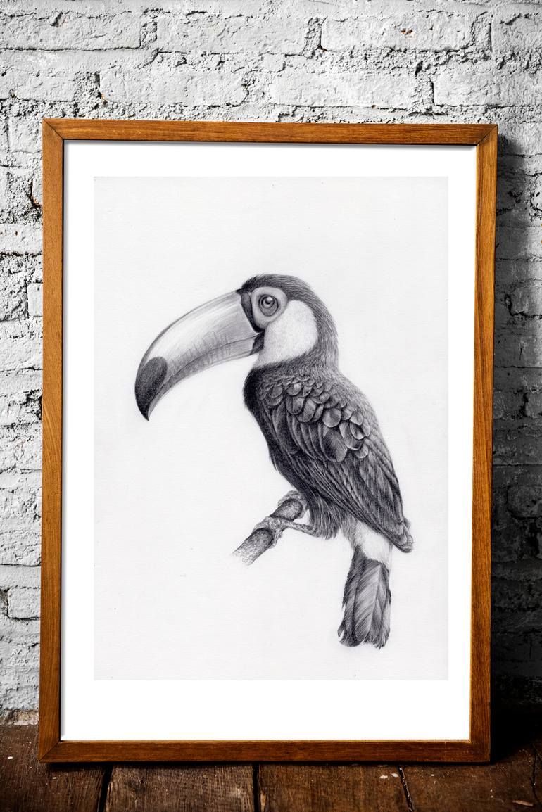 Original Documentary Animal Drawing by Yin Yung Chu