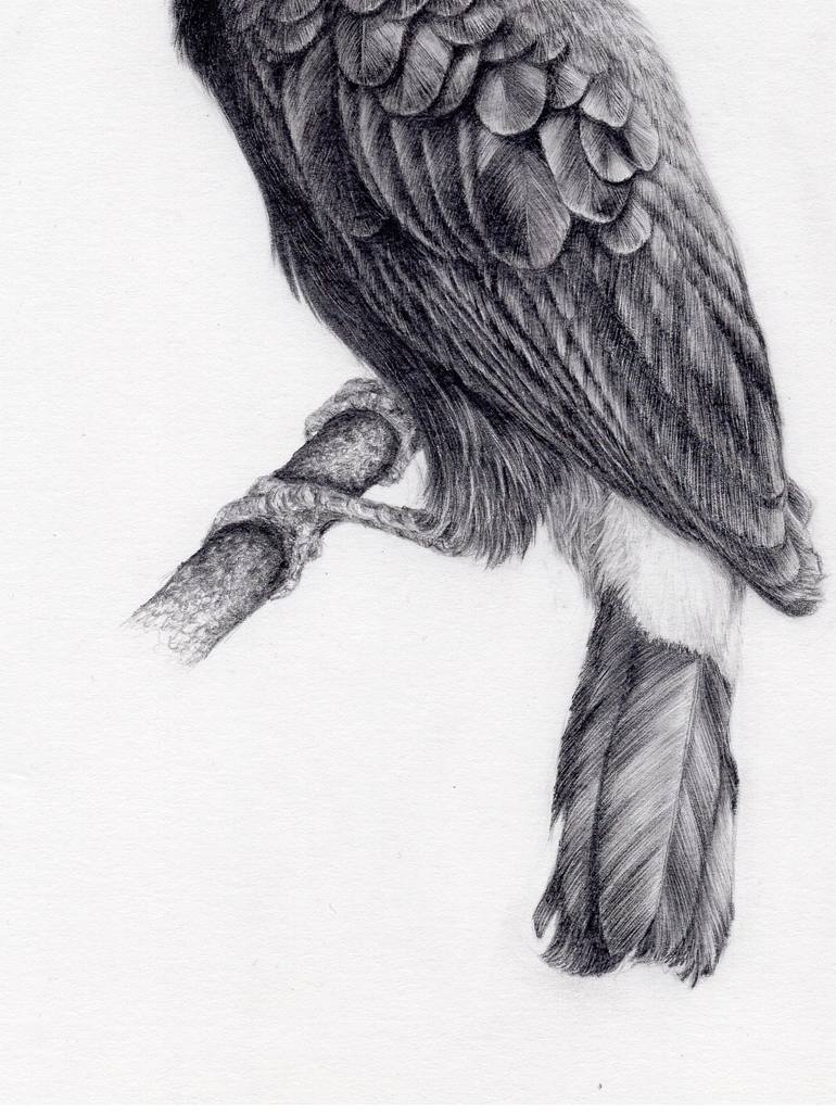 Original Documentary Animal Drawing by Yin Yung Chu