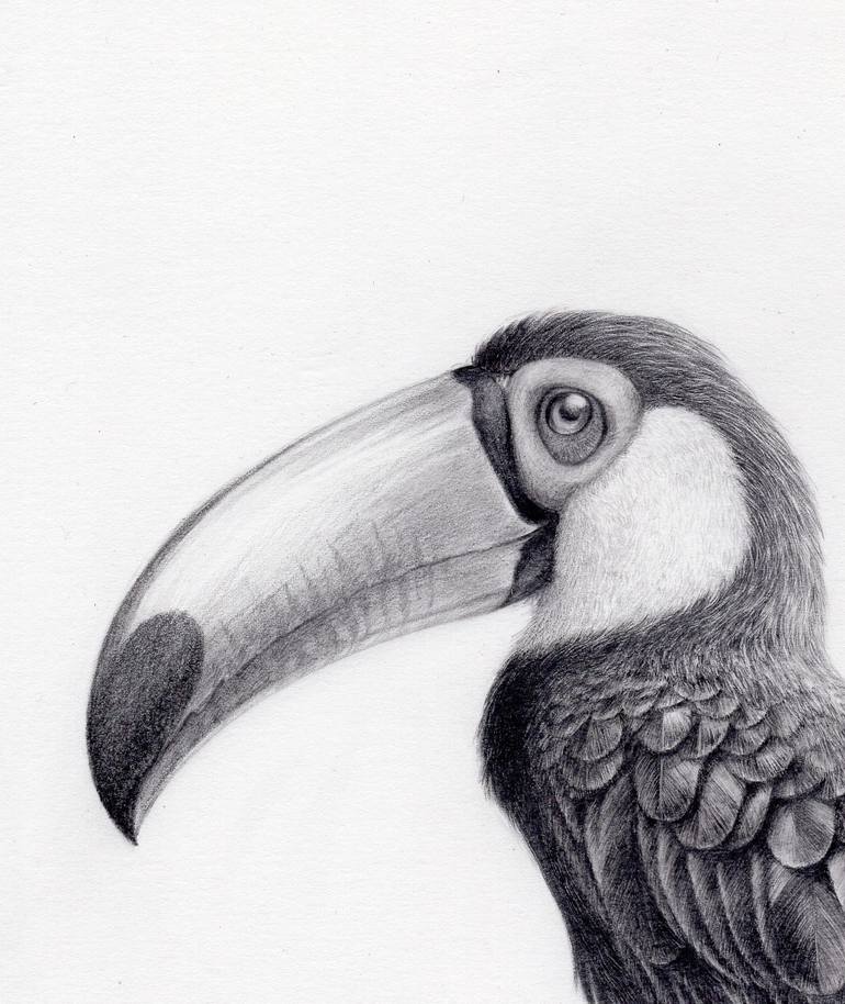 Original Documentary Animal Drawing by Yin Yung Chu