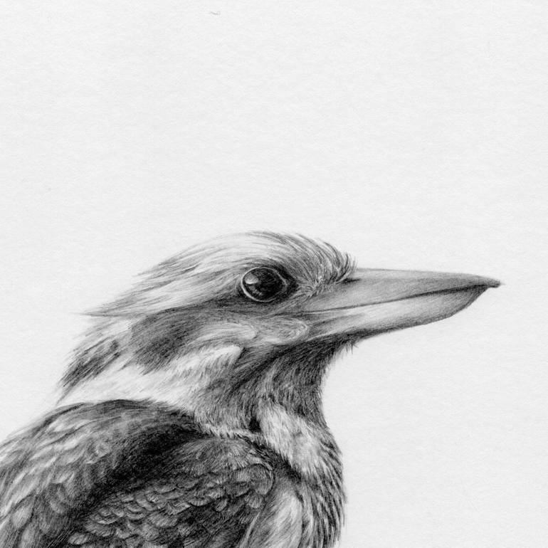 Original Documentary Animal Drawing by Yin Yung Chu