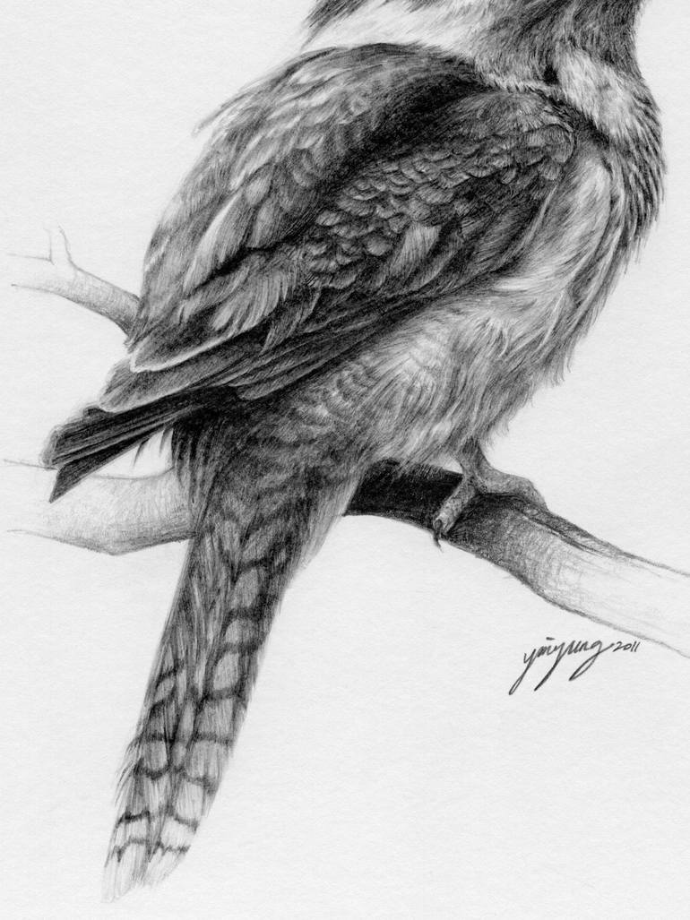Original Documentary Animal Drawing by Yin Yung Chu