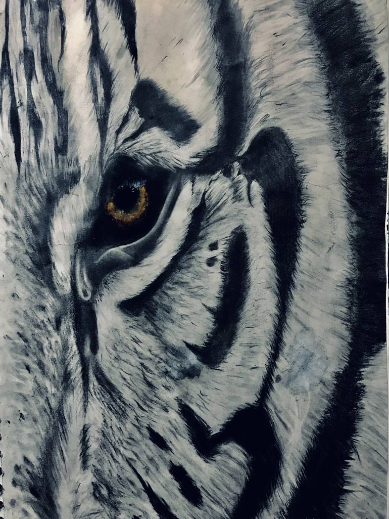 Eye Of The Tiger Drawing By Rumaysa Tajuddin Saatchi Art