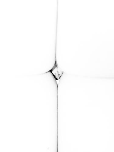 Original Abstract Body Photography by Marco Tiberio